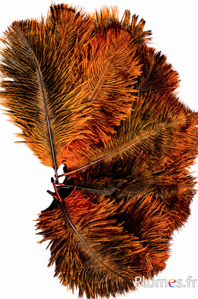 Struisvogel - 13-18 cm - azteeks goud-grijs